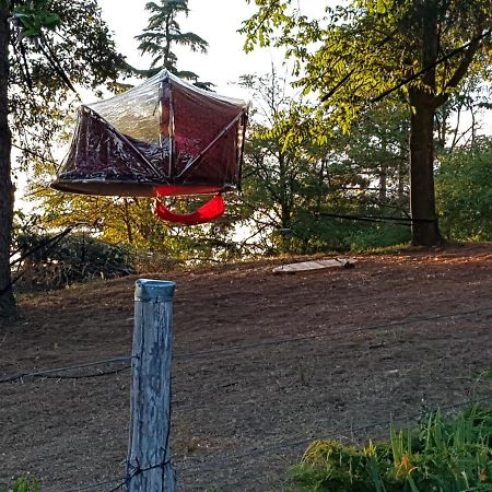 L'Houstalet Des Serniers Claveyson Bagian luar foto